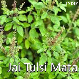 Tulsi Chalisa