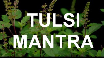 Tulsi Mantra