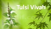 Jai Tulsi Mata